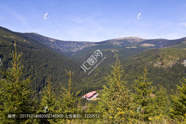 山