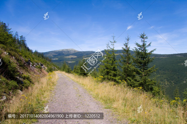 山