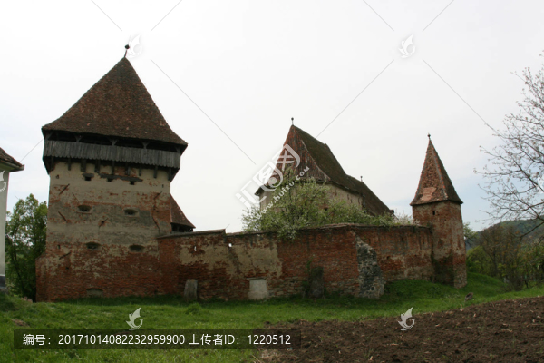 旅行