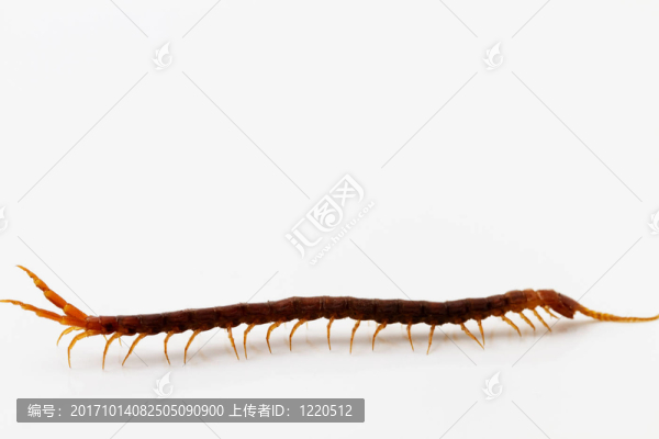 宏觀上