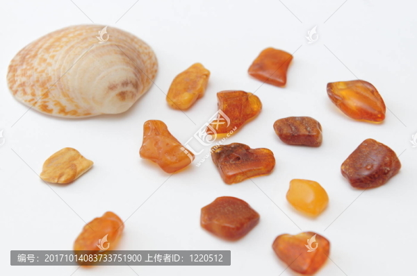 殼和伯恩斯坦
