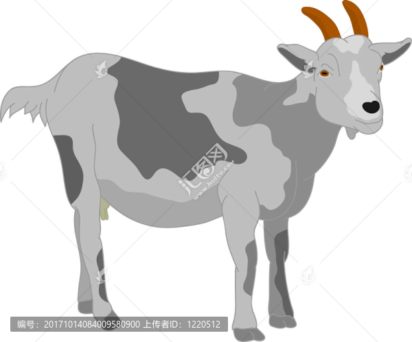 孤立的動物
