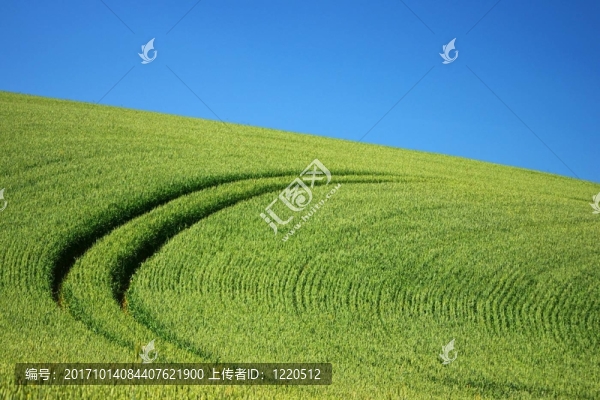 藍色