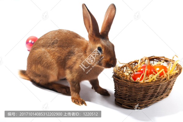 復(fù)活節(jié)