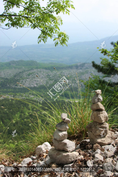 凱恩斯的帕爾特蜥，ITA
