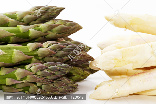 綠白蘆筍尖葛根éinander