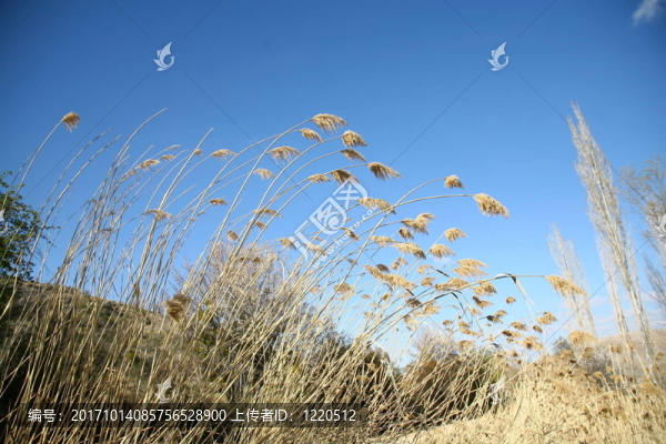 空間