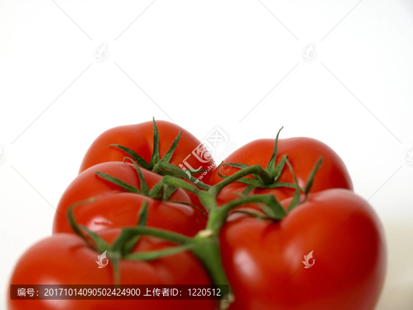 食品