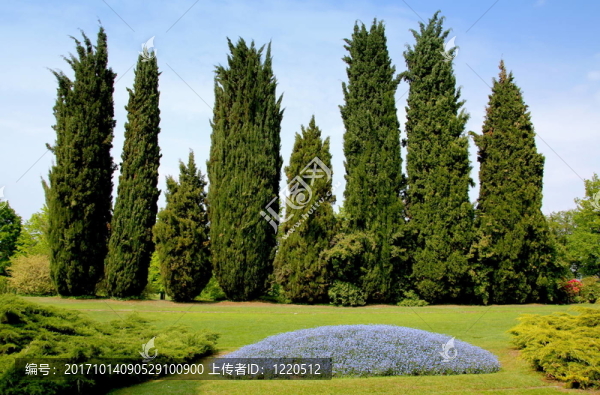 公園