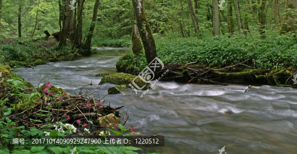 waldbach