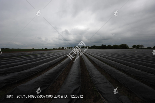 農(nóng)業(yè)