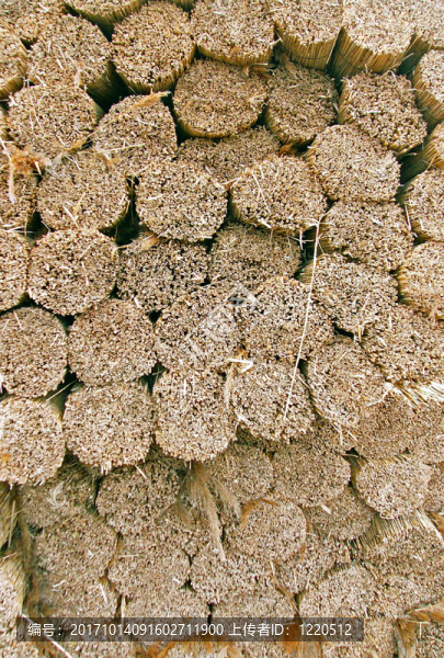 reetstapel