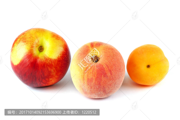 油桃，桃，杏，杏