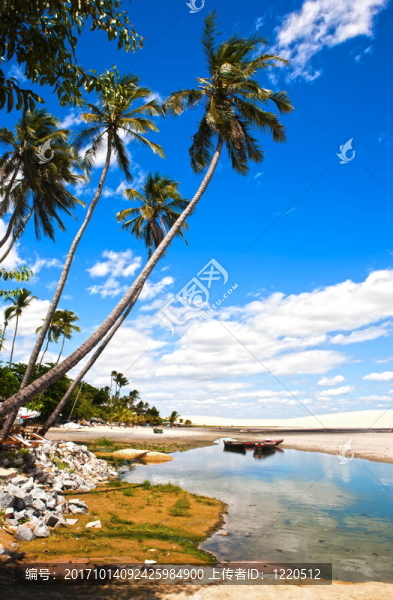 海灘-匯圖網(wǎng) www.fosd68.com 海灘