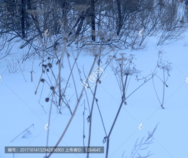 雪,雪鄉(xiāng),東北,冬天,冰雪