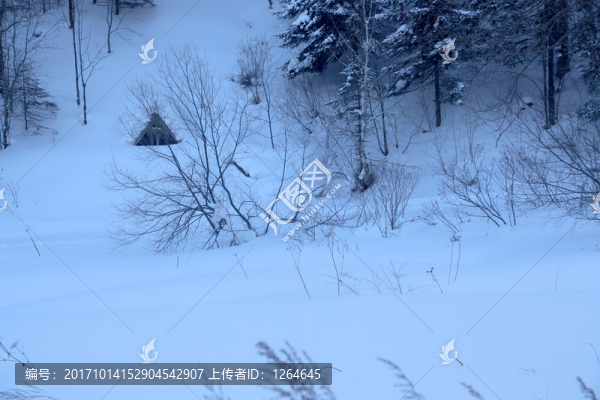 雪,雪鄉(xiāng),東北,冬天,冰雪