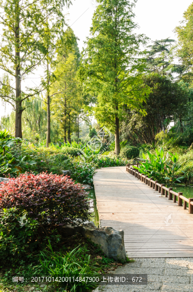 玄武湖公園風(fēng)景