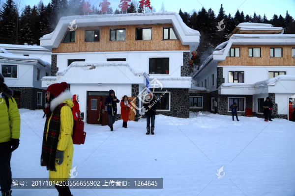 雪,山,風(fēng)景,樹,戶外