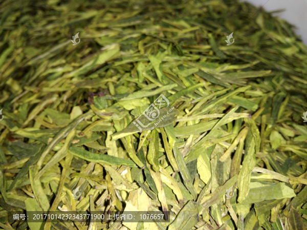 龍井茶葉,散茶特寫