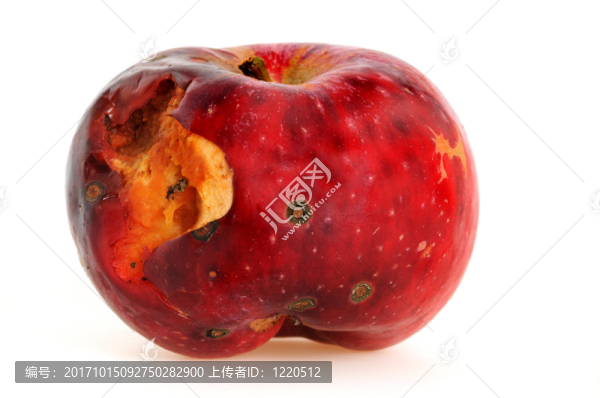 蘋果