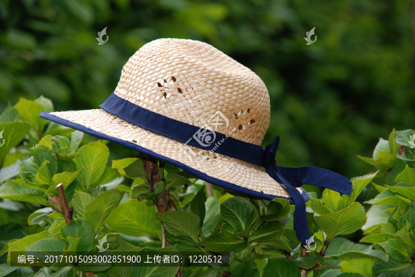 草帽