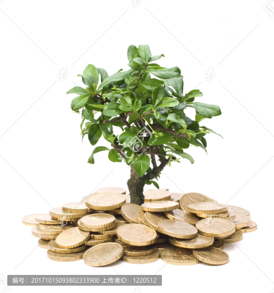 金融成長(zhǎng)