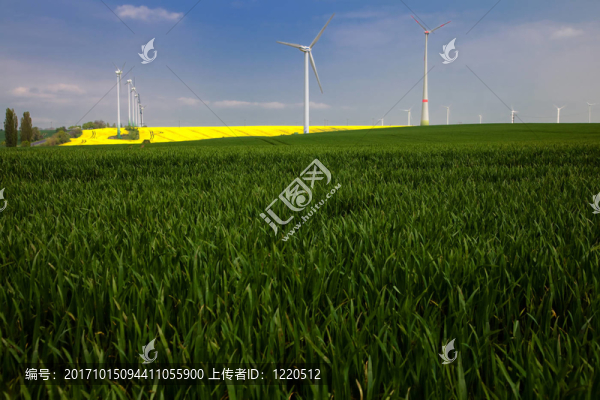 勃蘭登堡州的風(fēng)力渦輪機(jī)
