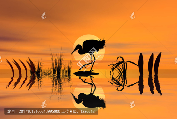 剪影蒼鷺