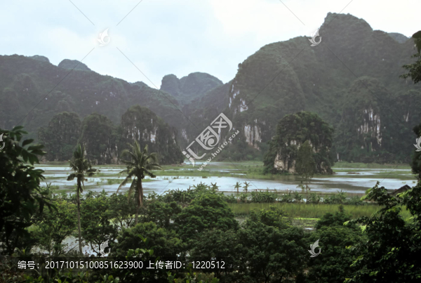 山