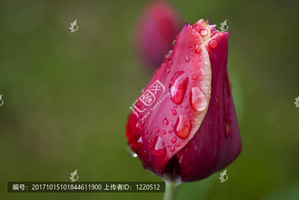 藍色的