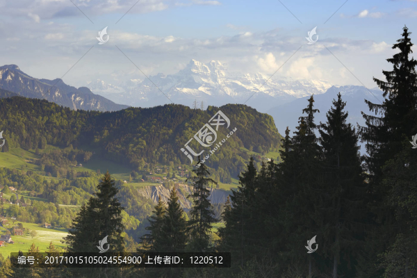 面對勃朗峰