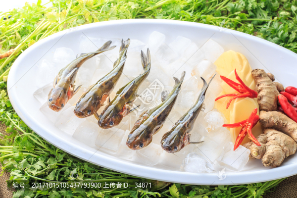 魚(yú)