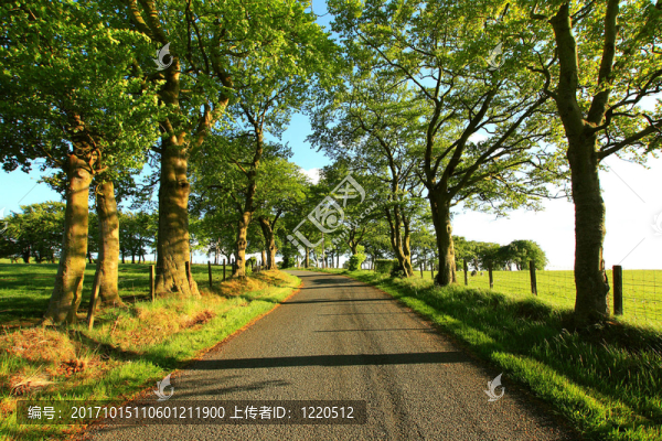 旅行