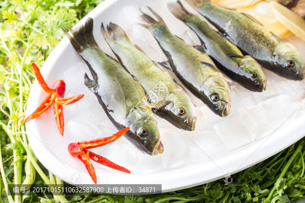 魚菜品