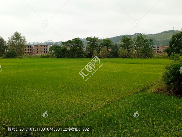 鄉(xiāng)村風景