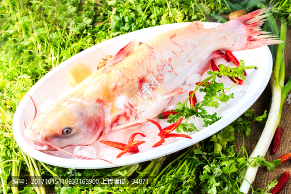 鮮魚