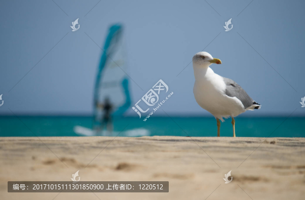 海景