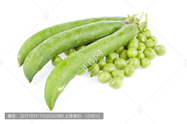 食品