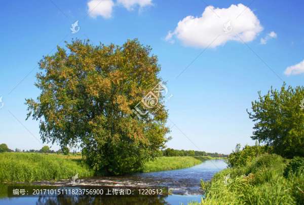 在landgraben魚梯