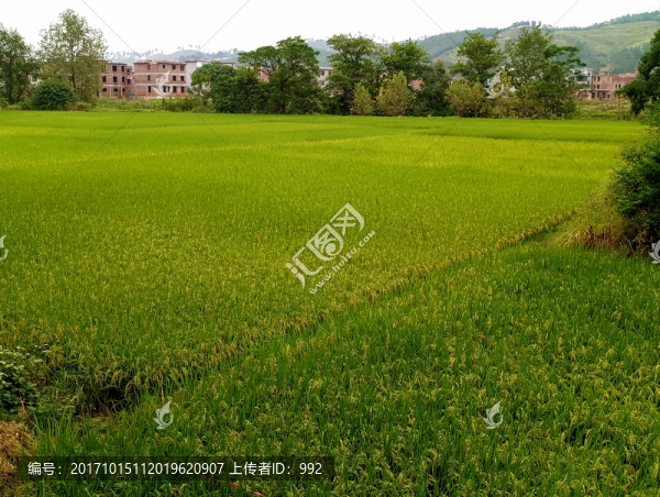 鄉(xiāng)村風(fēng)景
