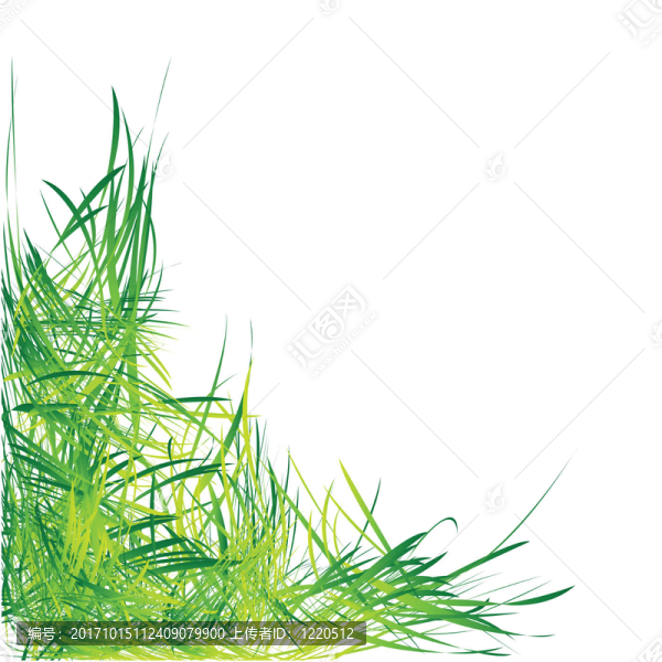 藝術(shù)的分支