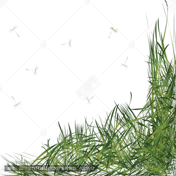 葉