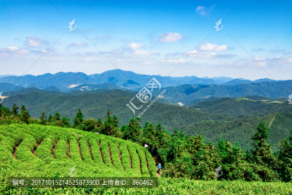 茶山遠(yuǎn)望