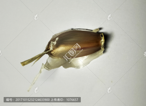 蒜瓣,高清實拍