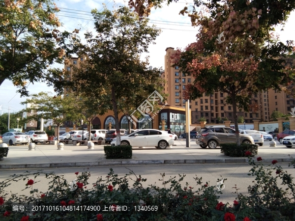馬路對(duì)岸的風(fēng)景