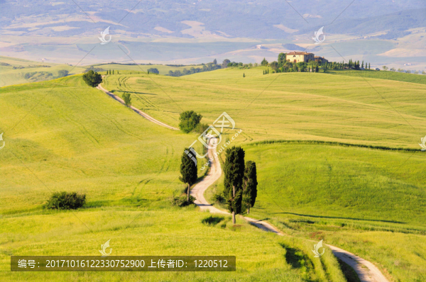 podere,terrapille,01