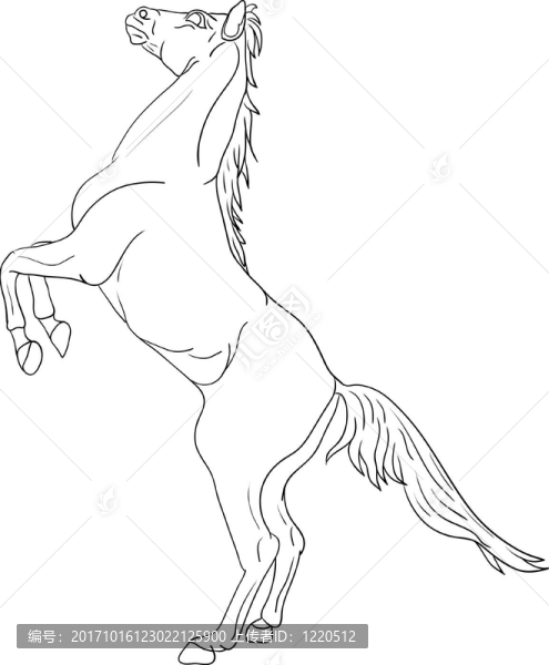馬