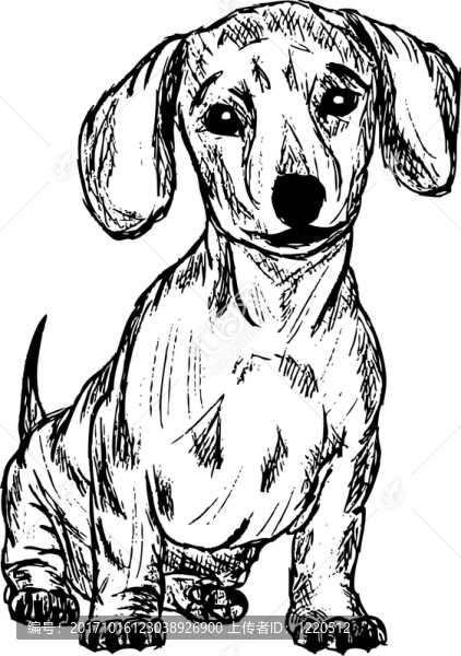 插圖