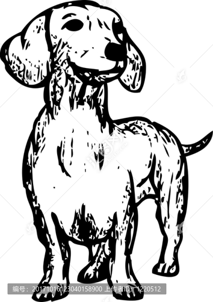 插圖