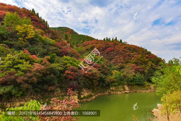 山中紅葉